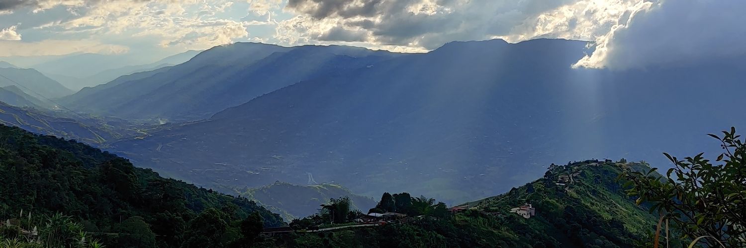 anescaus's profile banner image