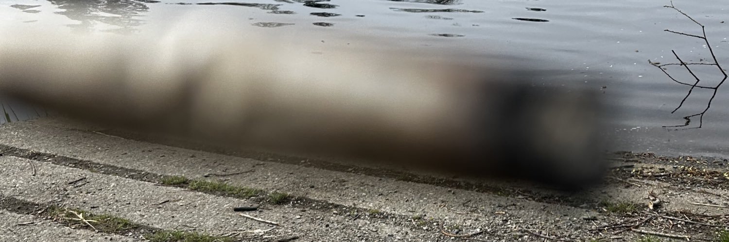 Alexbeendat9's profile banner image