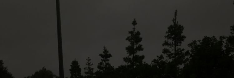 ellacoldlove's profile banner image