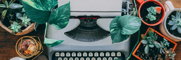 findingdelight Profile Banner