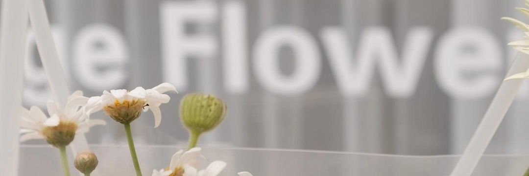 飯飯𝒇𝒇 banner