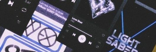 liz 𓍯𓂃☆ banner