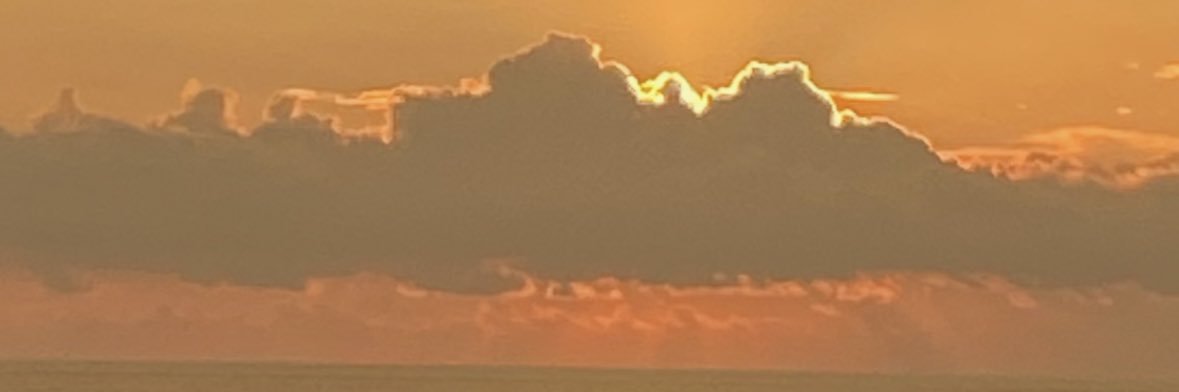 Del banner