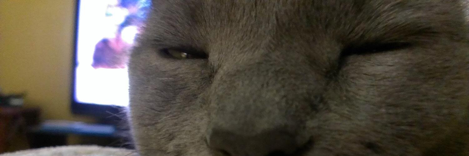 Adam Wallander banner