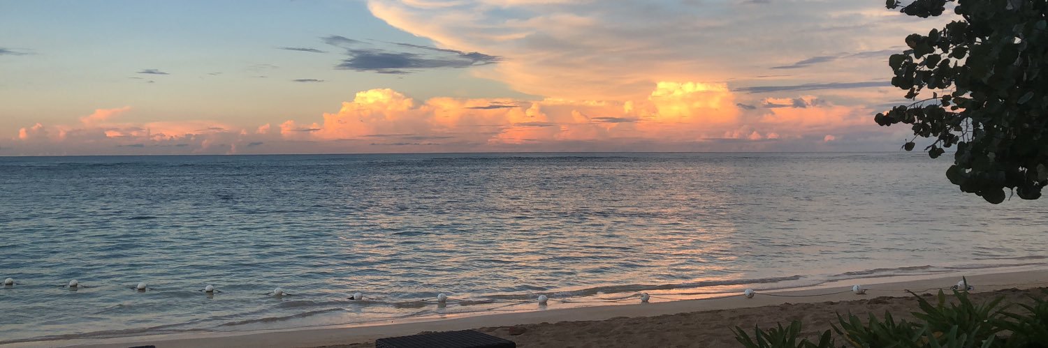 Engels Peralta banner