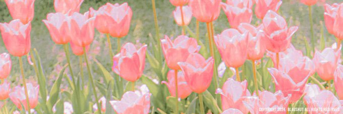 OdcherryGo71008's profile banner image