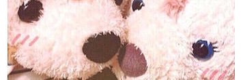 shirotanwaka's profile banner image
