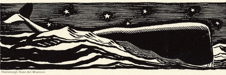 powermobydick's profile banner image