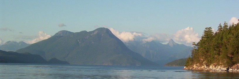 Sam Quinn 🇺🇸 🇨🇦 banner