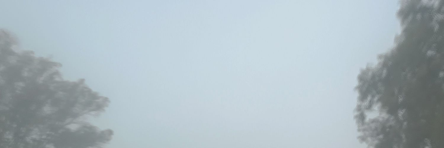 דוּני בראסקו banner