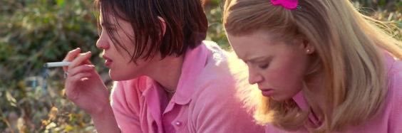 maevely⚢ banner