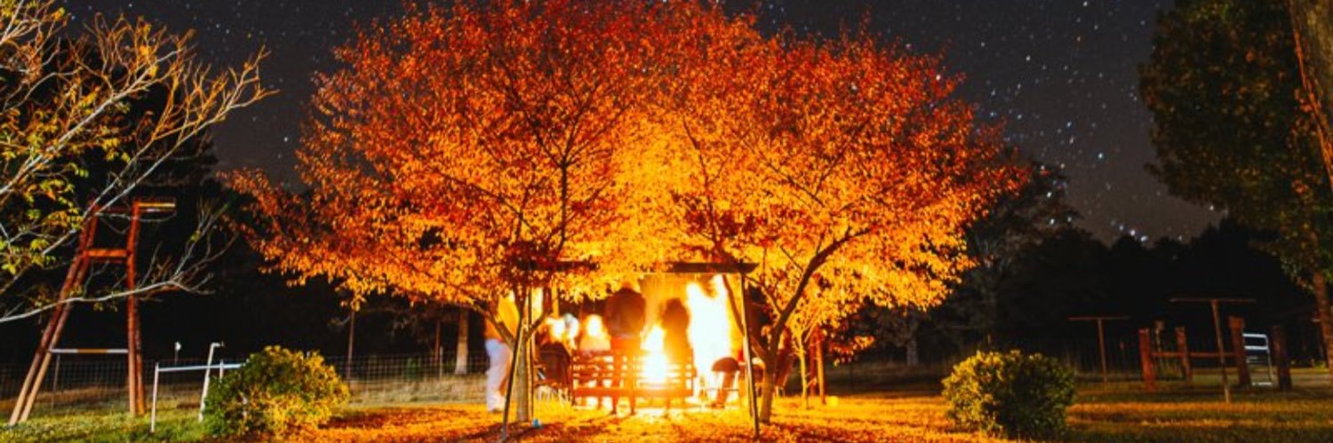 Carter Pickering banner