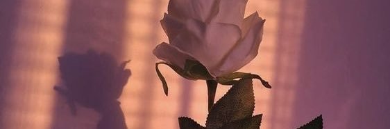 𝓮𝓶𝓫𝓮𝓻 banner