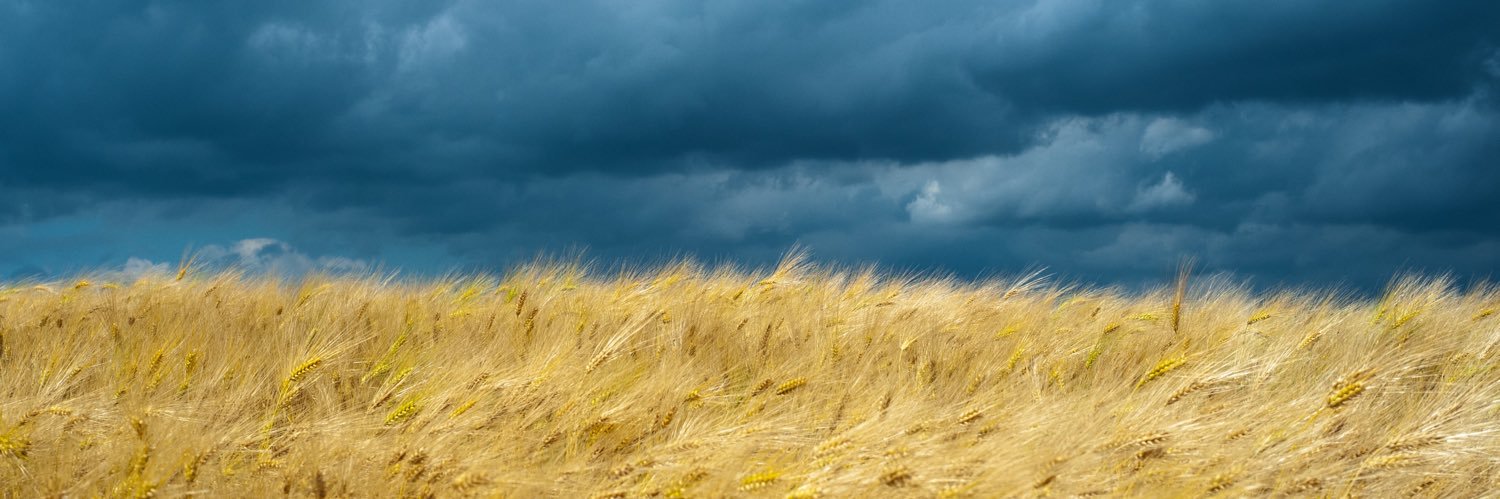 Якийся містер banner