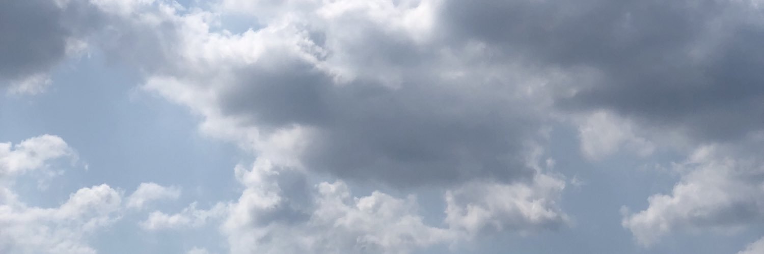 snmsrtghn's profile banner image