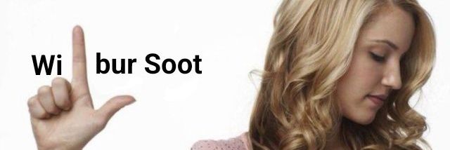 ༘⋆𝑬𝒍 𝒑𝒊𝒐𝒋𝒐 𝒅𝒆 𝒍𝒂 𝒍𝒊𝒄𝒖𝒂𝒄𝒉𝒆𝒍𝒂༘⋆ banner