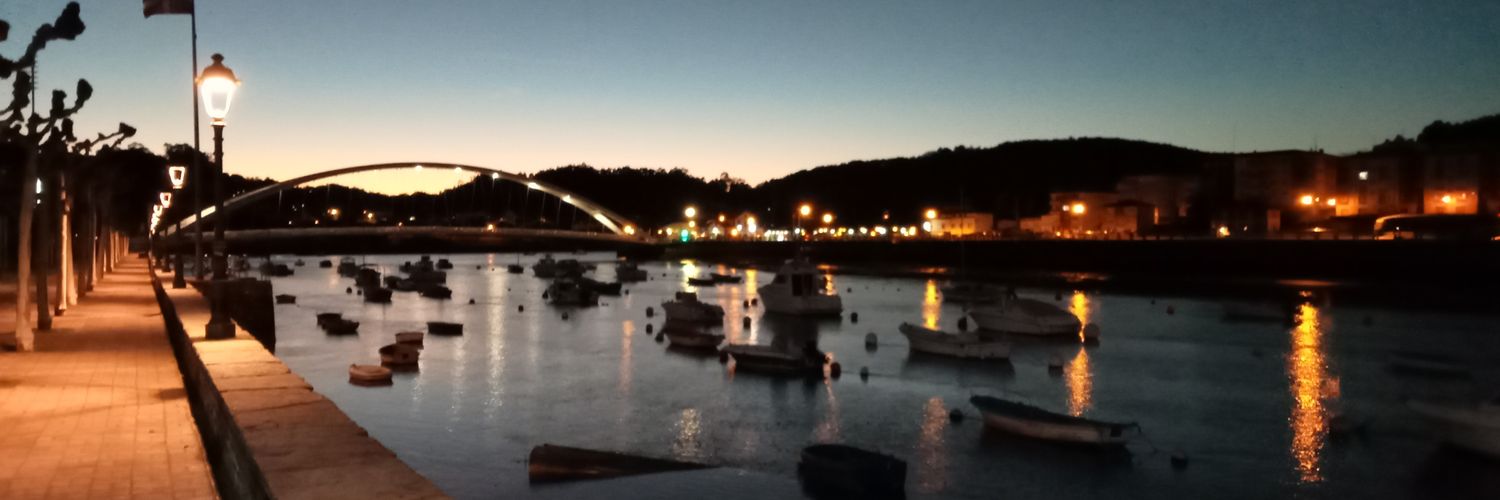 Osian Roberts banner