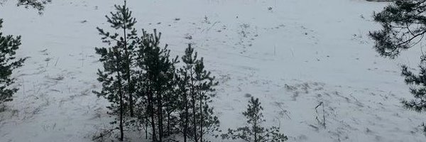 C4NNIBALZ Profile Banner