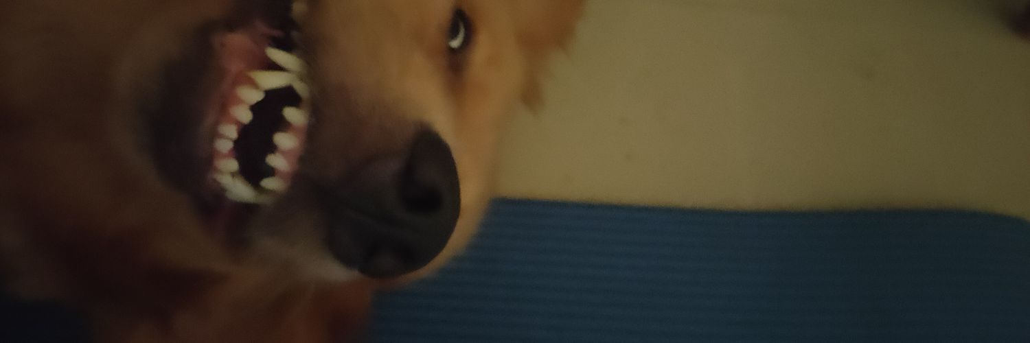 likeajacobs's profile banner image