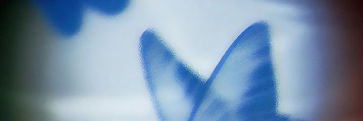 KuRoKi🦋 banner