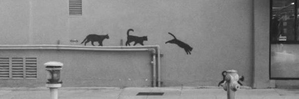 dvaetic Profile Banner