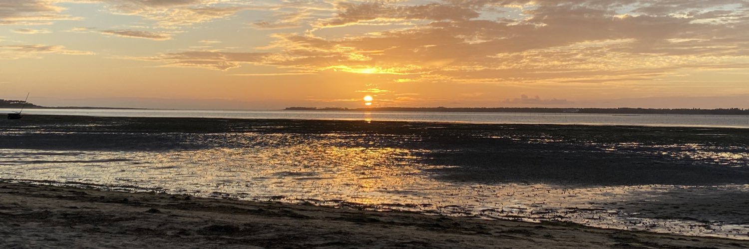 🍃 June Carter banner