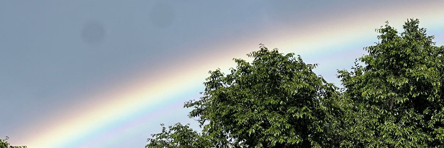 Cedar_Forest16's profile banner image