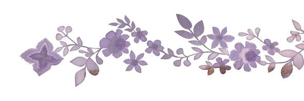 bodão banner