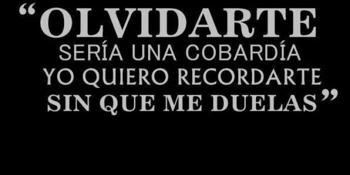 sandravillaseca's profile banner image