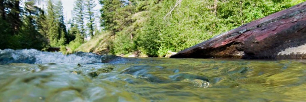 Chris Weir banner