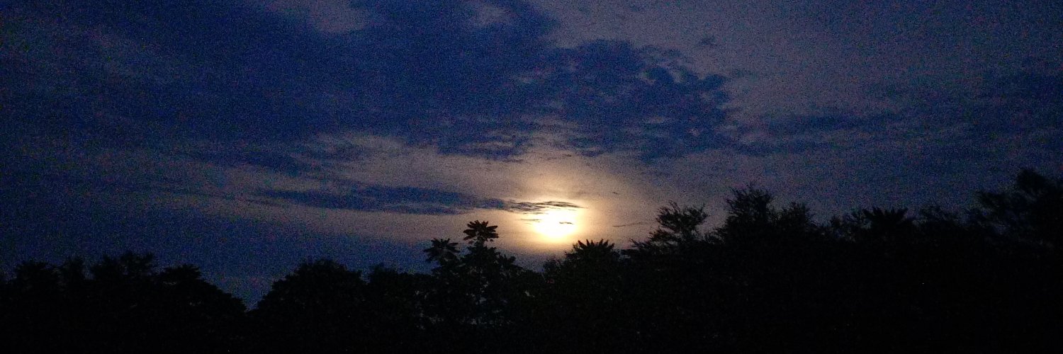 Jin, fCPA🥑 banner