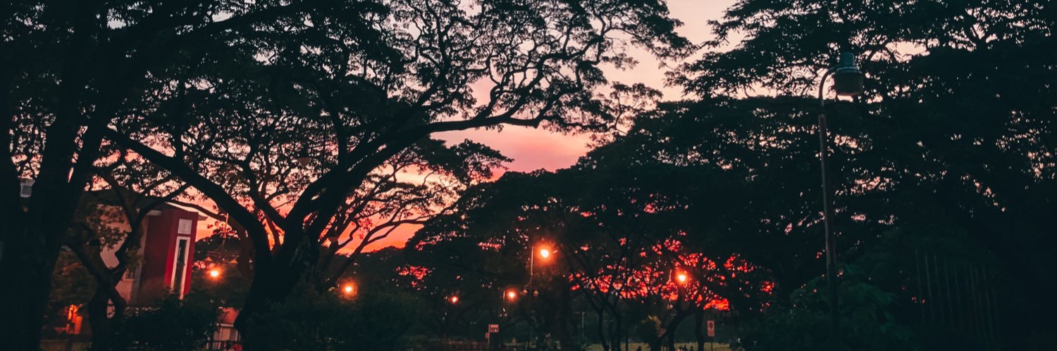 lisfortun's profile banner image