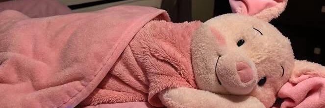 PIGLET🐽 banner