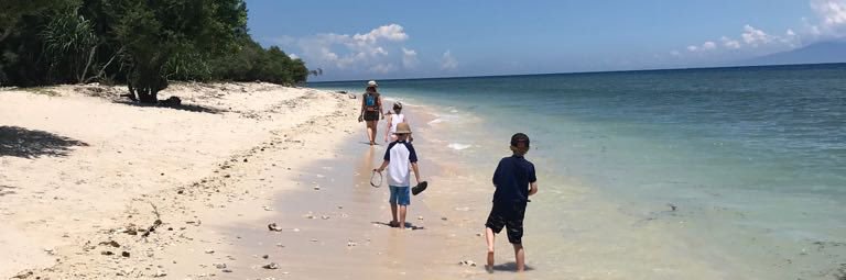 elaine nangle banner