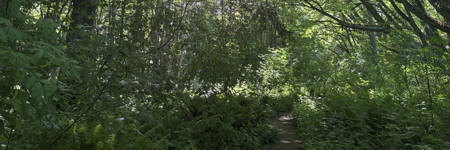 8trackin's profile banner image