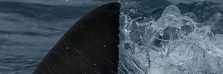 bbelrivas's profile banner image