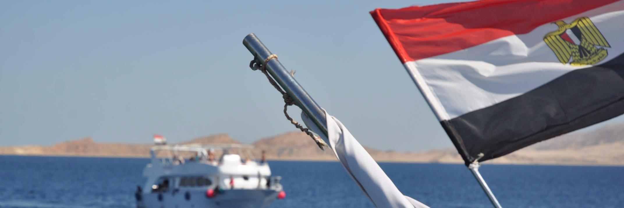afarouk92's profile banner image