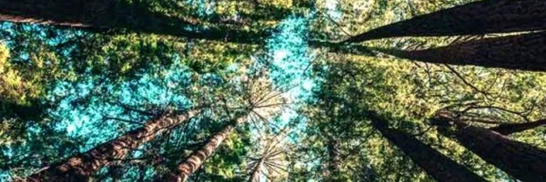 Jheess_'s profile banner image