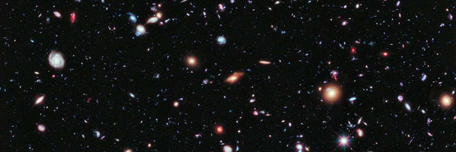 earlbellinger's profile banner image