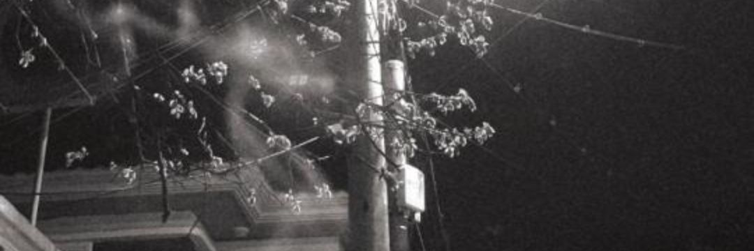 Jack830529's profile banner image