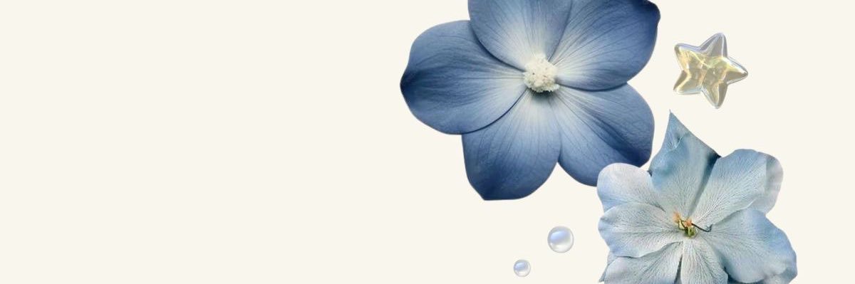 nave belajar ૮꒰ต´˘`ต꒱ა | freetag banner