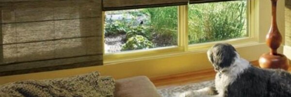 bazaarHDC Profile Banner