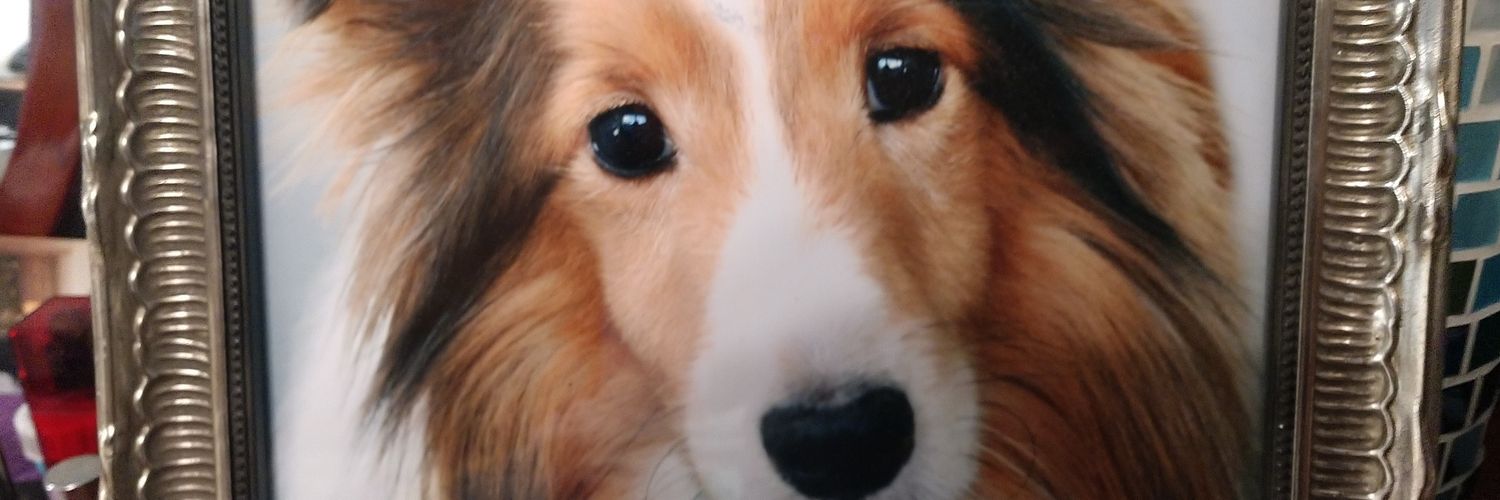 Barking Dog banner
