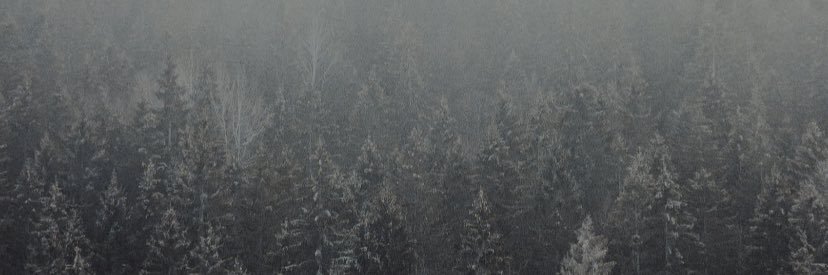 _camui's profile banner image