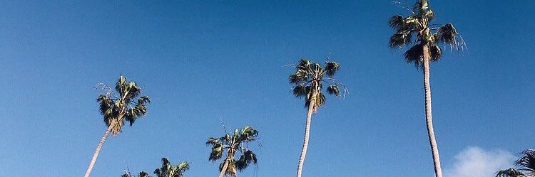 mandacb_'s profile banner image