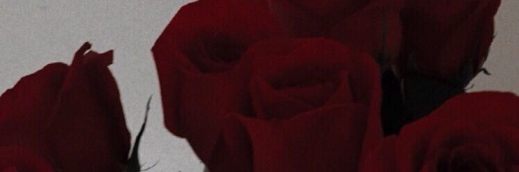 nurmaftr's profile banner image