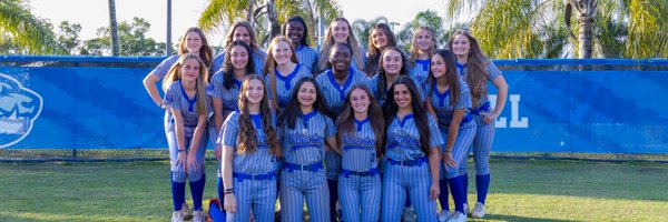 Welly_Softball Profile Banner