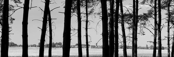 marixxjohn's profile banner image