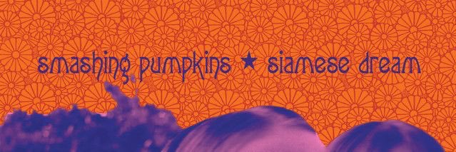 kurey banner
