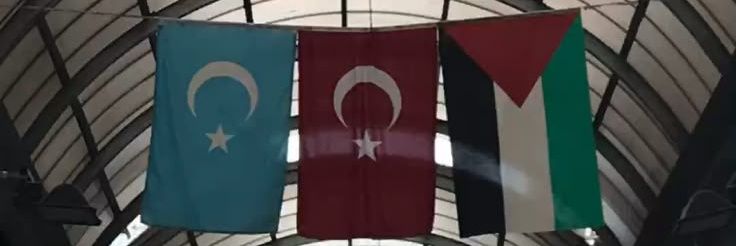 Refahlı Reus banner